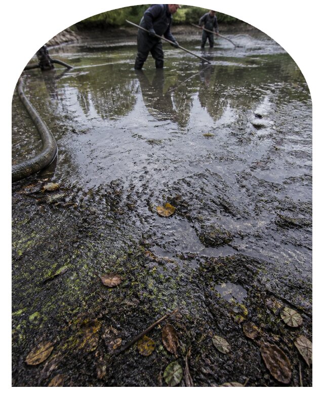 Очистка пруда в Нововоронеже от ила мусора и водорослей с вывозом